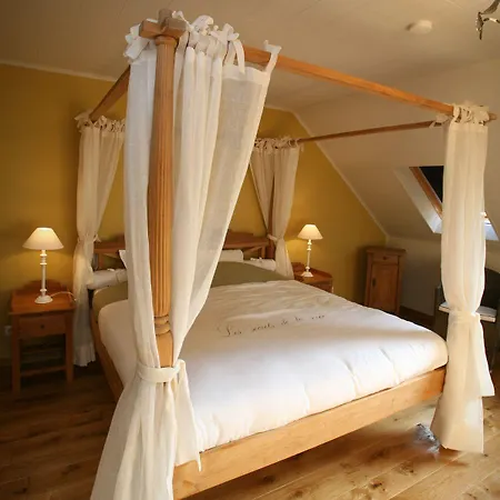 Les Secrets De La Vie 3*